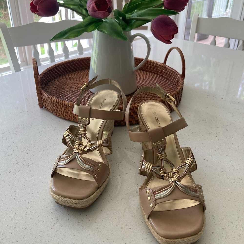 Wedge shoes size 10